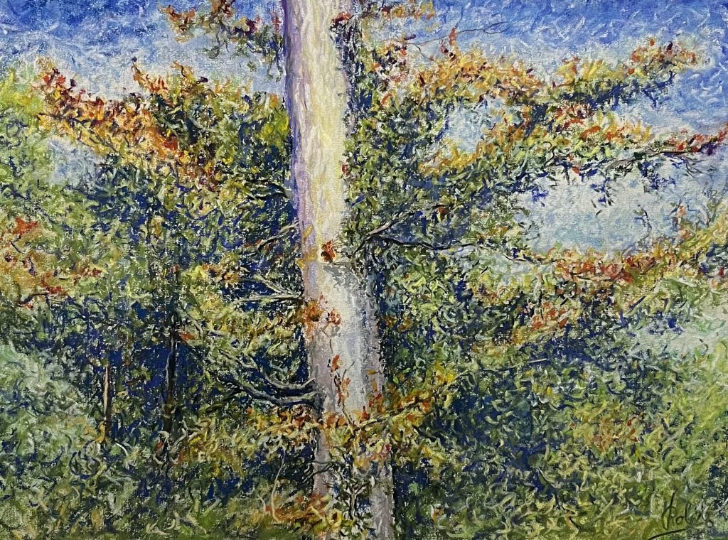(Tree in Autumn by Rol Reding. Photo © Loic Steffen / Fondation Valentiny)